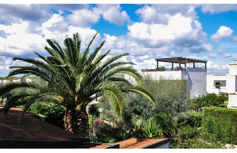 casa indipendente in affitto a Nardò