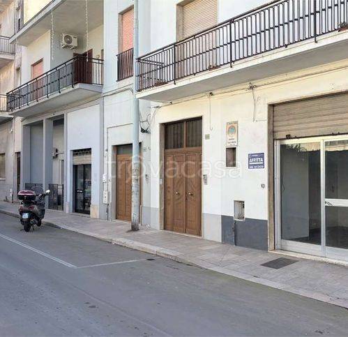 negozio in affitto a Tricase