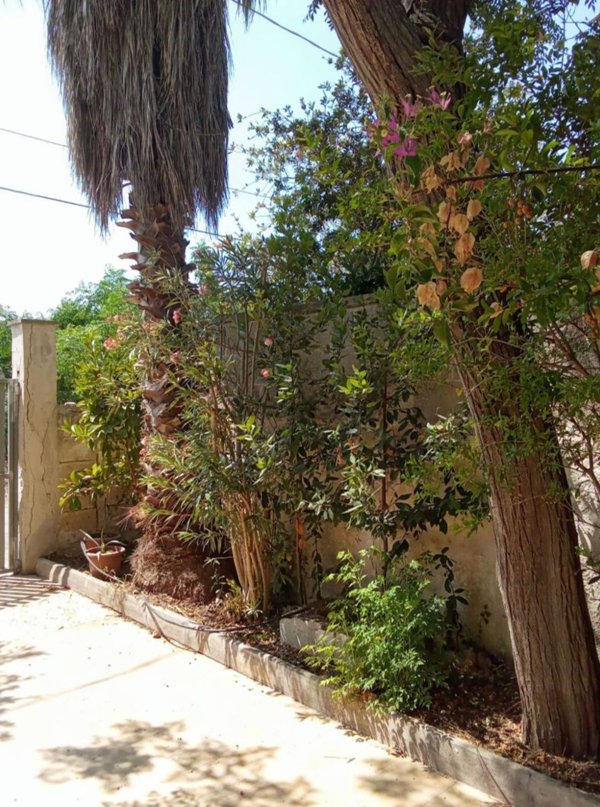 appartamento in affitto a Porto Cesareo