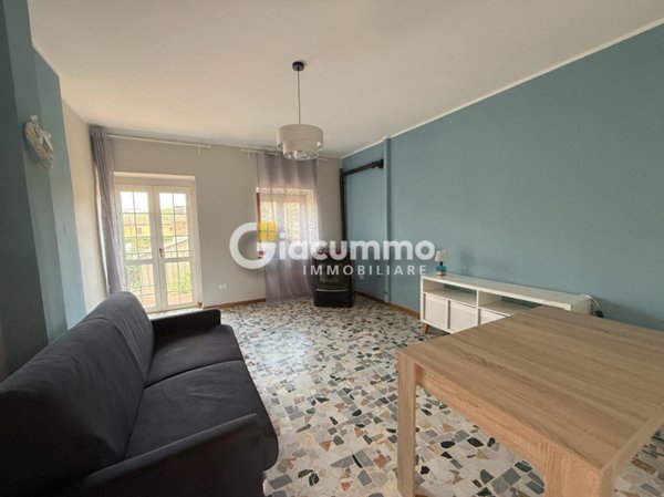 casa indipendente in affitto ad Avigliano