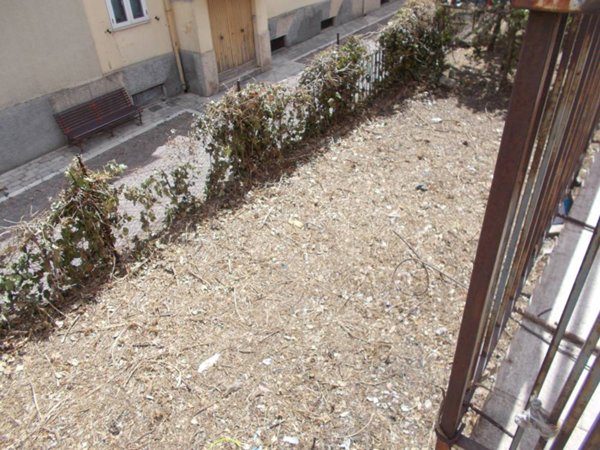 casa indipendente in affitto a Barile