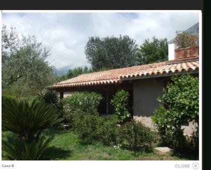 casa indipendente in affitto a Maratea