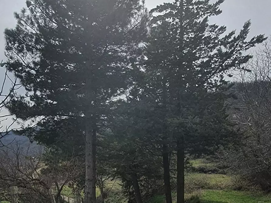 casa indipendente in affitto a Moliterno