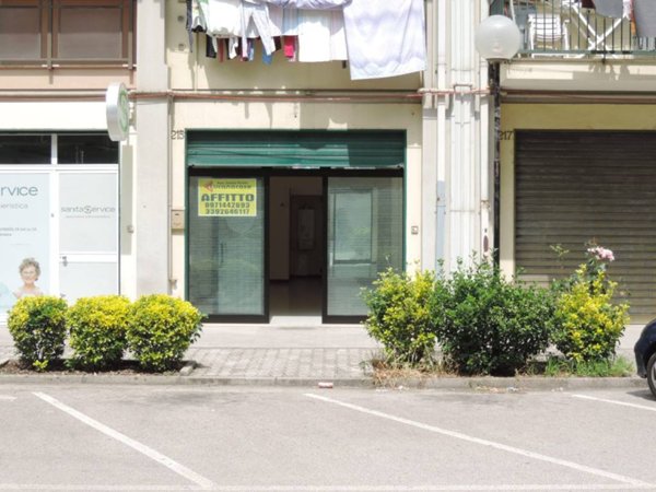 negozio in affitto a Potenza