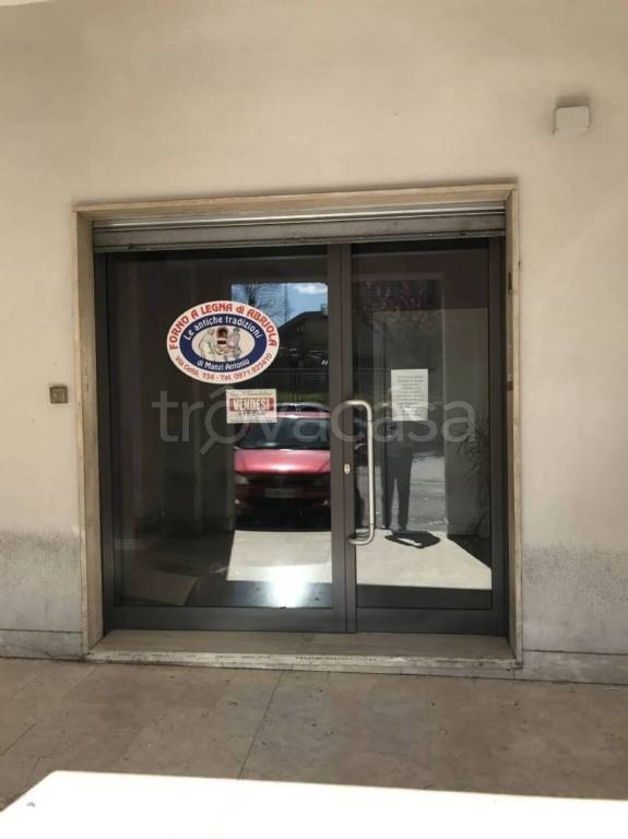 monolocale in affitto a Potenza