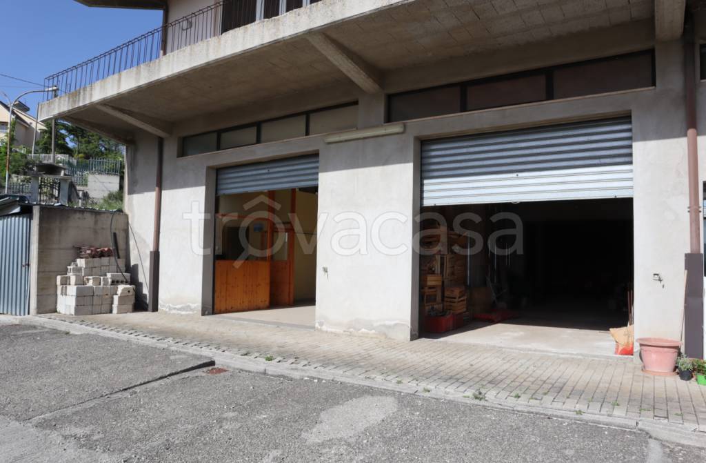 appartamento in affitto a Potenza