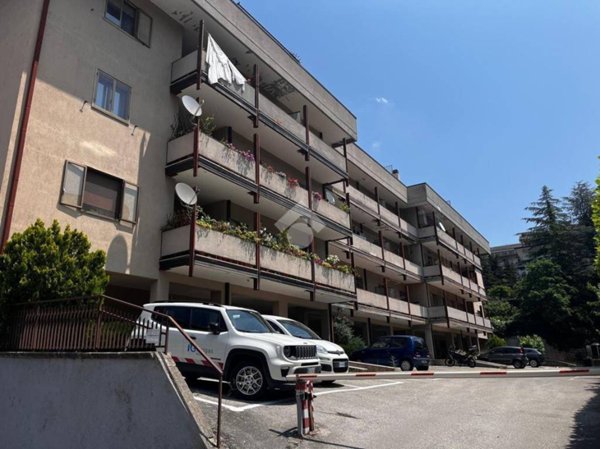 appartamento in affitto a Potenza