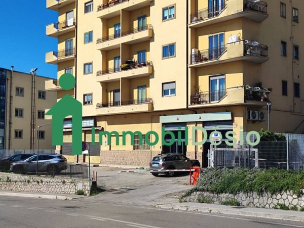 appartamento in affitto a Potenza