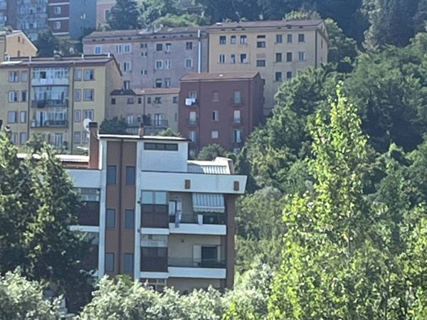 appartamento in affitto a Potenza