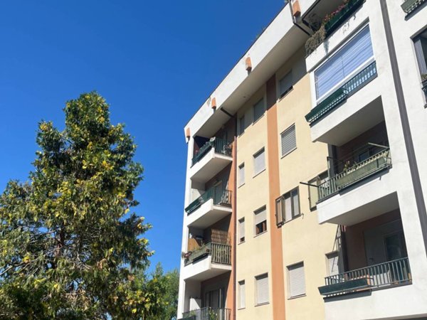 appartamento in affitto a Potenza