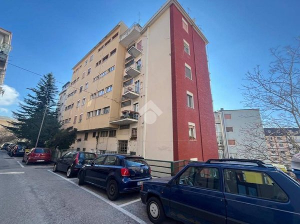 appartamento in affitto a Potenza