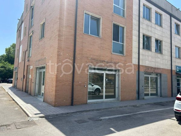 negozio in affitto a Potenza