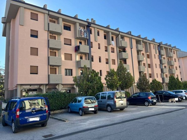 immagine annuncio 0 di 5