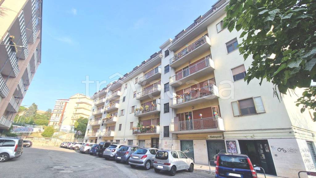 appartamento in affitto a Potenza