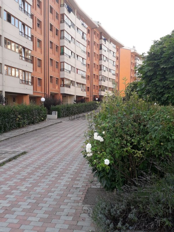 appartamento in affitto a Potenza