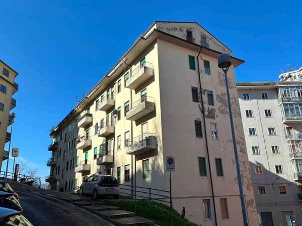 appartamento in affitto a Potenza