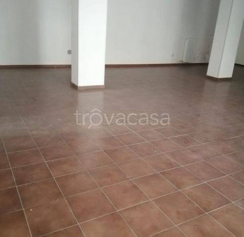 negozio in affitto a Potenza