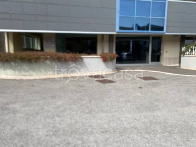 negozio in affitto a Potenza