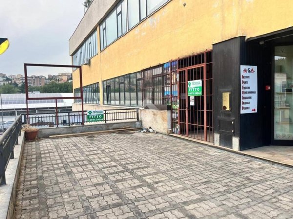 locale commerciale in affitto a Potenza in zona Rione Francioso