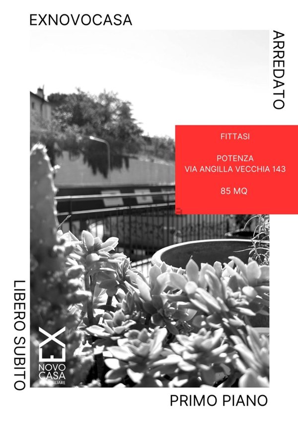 appartamento in affitto a Potenza