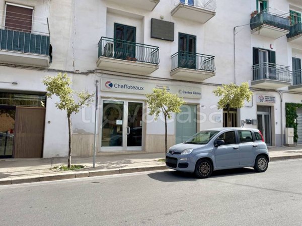 negozio in affitto a Matera