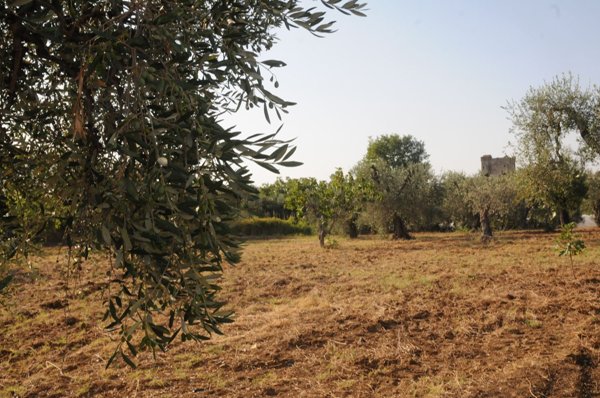 appartamento in affitto a Pisticci