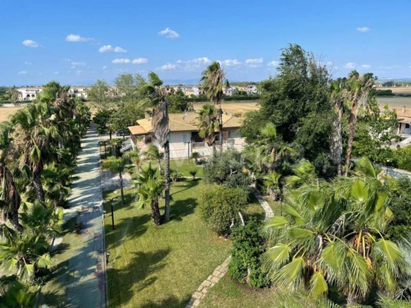 casa indipendente in affitto a Pisticci