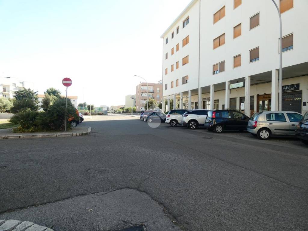 immagine annuncio 0 di 14