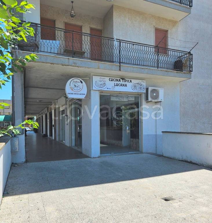 trivano in affitto a Policoro
