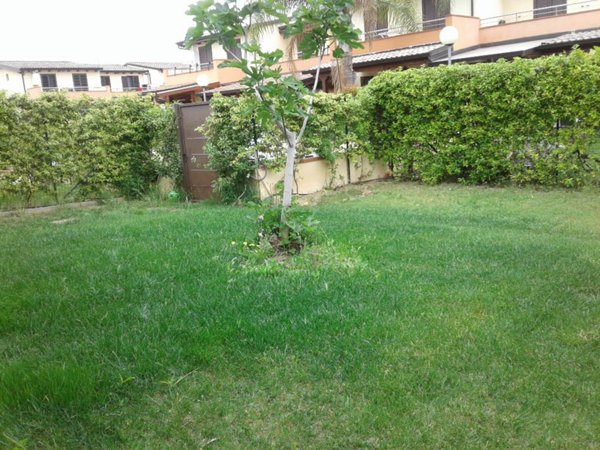 casa indipendente in affitto a Policoro
