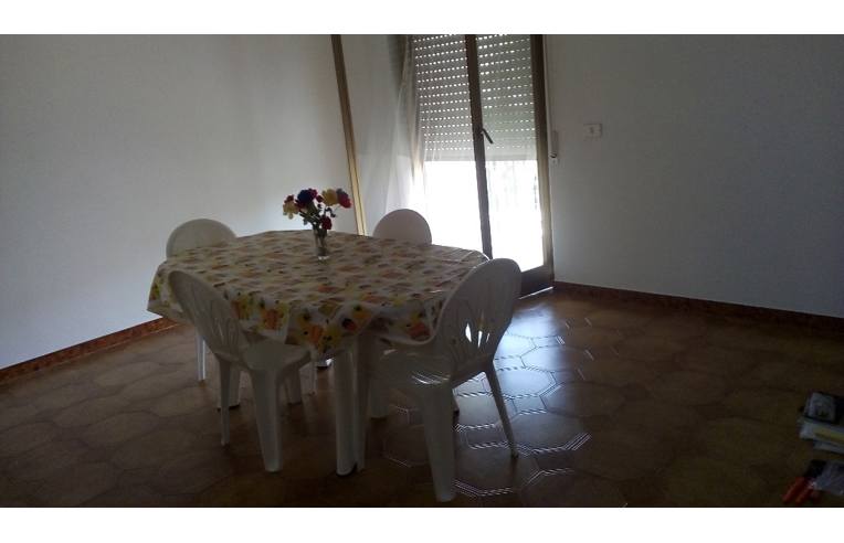appartamento in affitto a Belvedere Marittimo