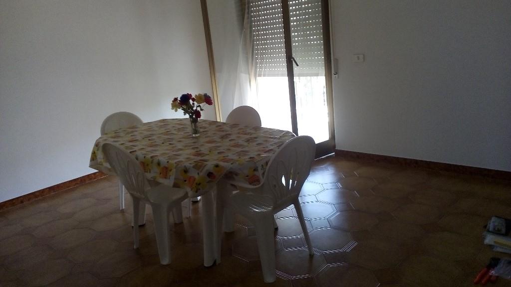 appartamento in affitto a Belvedere Marittimo