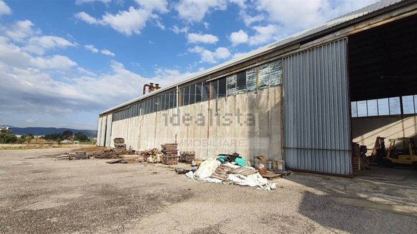 capannone in affitto a Belvedere Marittimo