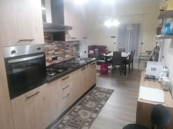 appartamento in affitto a Belvedere Marittimo