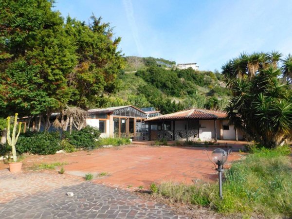 negozio in affitto a Cetraro