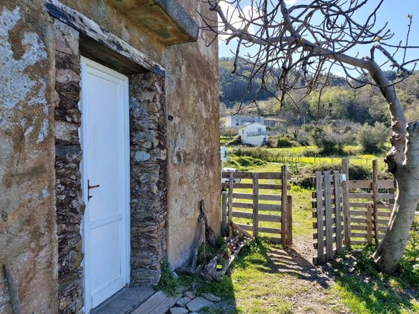 pentavano in affitto a Cetraro