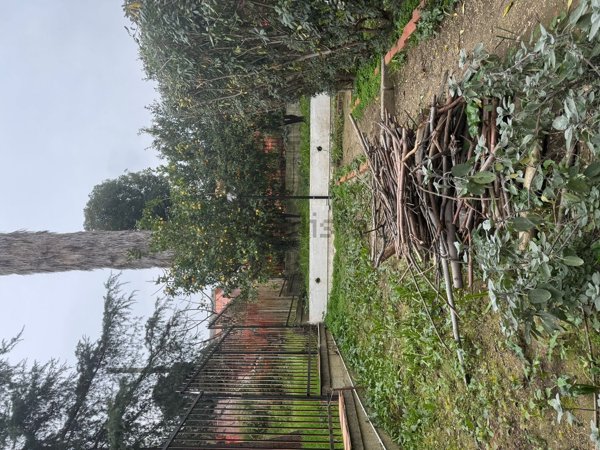 appartamento in affitto a Cosenza