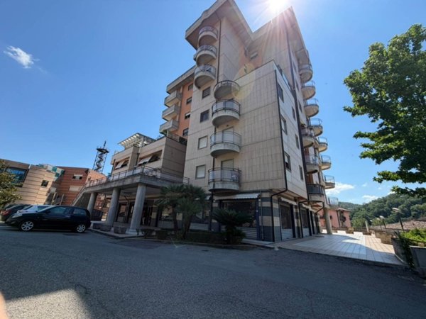 appartamento in affitto a Cosenza