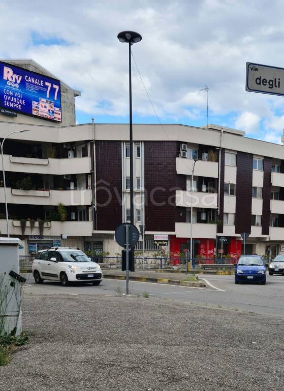negozio in affitto a Cosenza in zona Panebianco