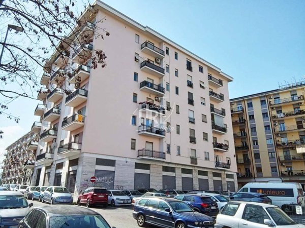 negozio in affitto a Cosenza
