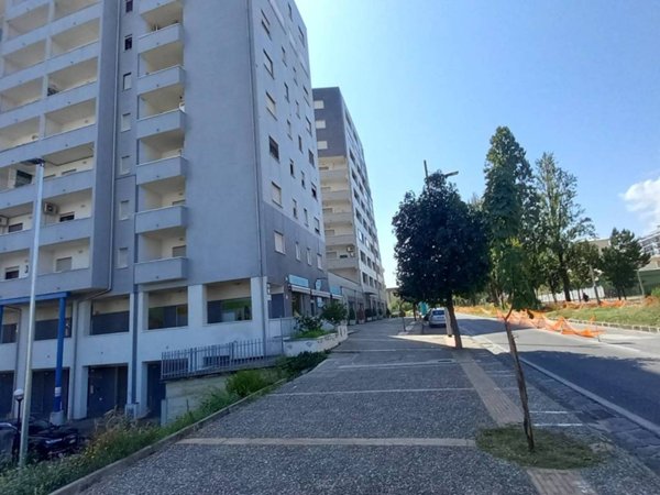 appartamento in affitto a Cosenza in zona Cosenza Vecchia