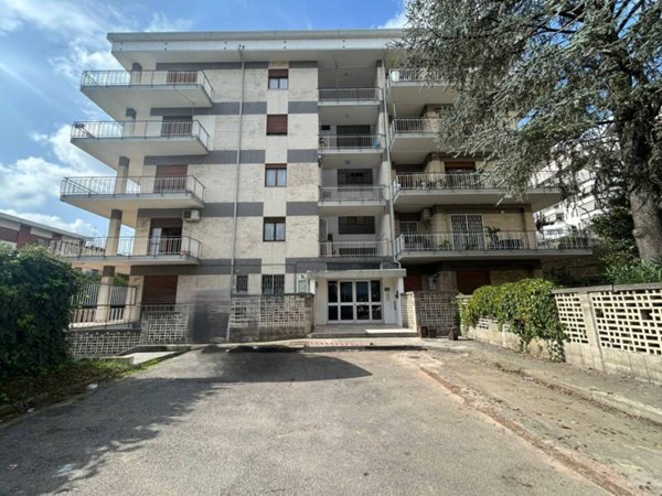 appartamento in affitto a Cosenza