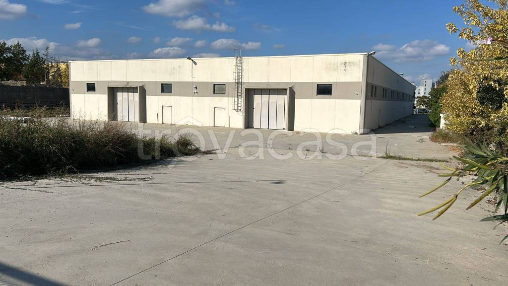 locale commerciale in affitto a Montalto Uffugo