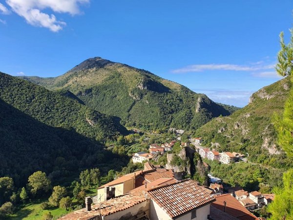 appartamento in affitto ad Orsomarso