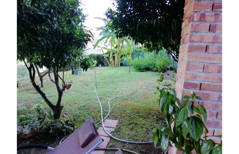 casa indipendente in affitto a Praia a Mare