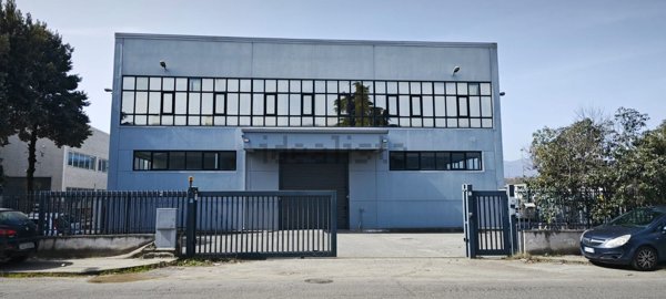 ufficio in affitto a Rende