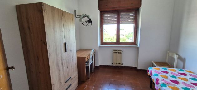 camera singola in affitto a Rende