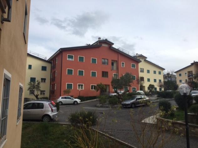 appartamento in affitto a Rende