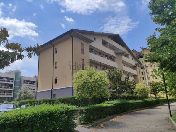 appartamento in affitto a Rende