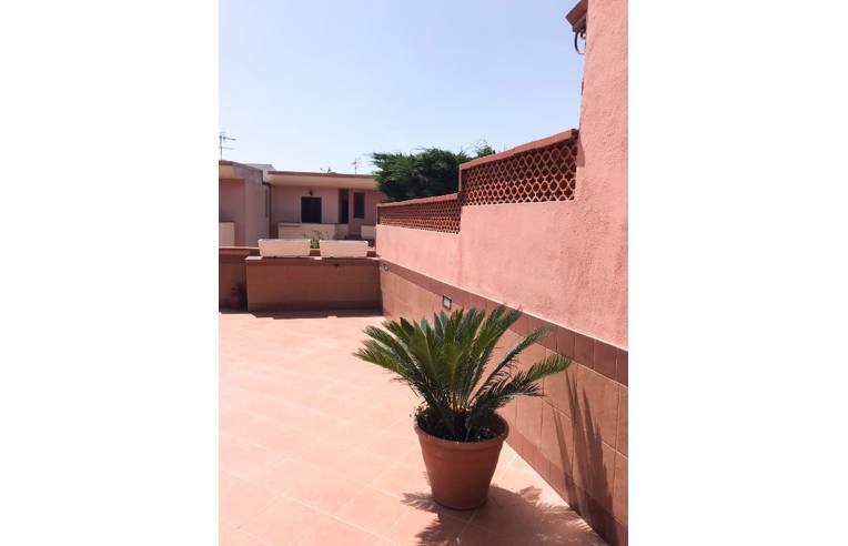 casa indipendente in affitto a San Nicola Arcella